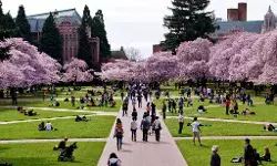 Vacancy: Assistant Professor - Political Communication (University of Washington) Vacancy: Assistant Professor - Political Communication (University of Washington)