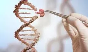 राष्ट्रपति व्लादिमीर पुतिन ने की घोषणा, EpiVacCorona वैक्सीन को मिली मंजूरी.....