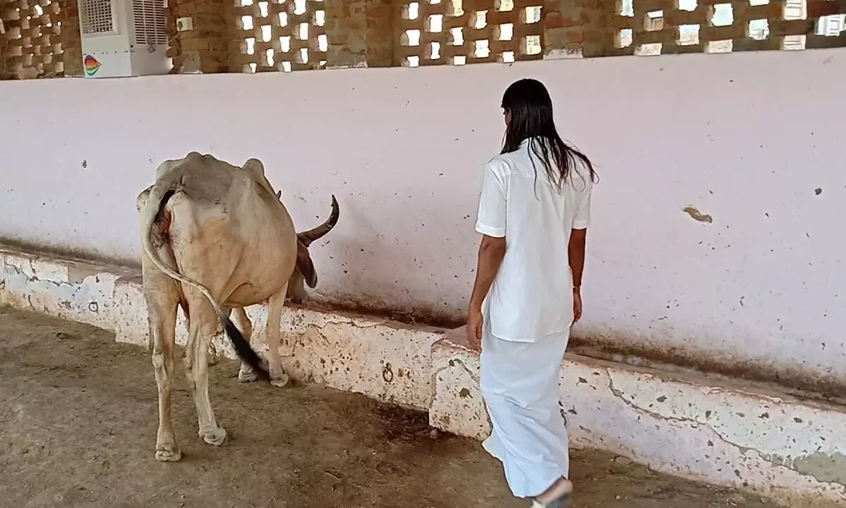 गोपेश्वर गौशाला की यह पहल ग्रामीण महिलाओं के लिए बनी वरदान ....