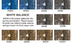 рдмрдЪрдкрди рдПрдХреНрд╕рдкреНрд░реЗрд╕ рдкрд░ рдЕрдм рд╣рд░ рджрд┐рди рдлрд┐рд▓реНрдо рдФрд░ рдлреЛрдЯреЛрдЧреНрд░рд╛рдлреА рдкрд░ рдПрдХ рд▓реЗрдЦ рдкреЭреЗ рдмрдЪрдкрди рдПрдХреНрд╕рдкреНрд░реЗрд╕ рдкрд░ рдЕрдм рд╣рд░ рджрд┐рди рдлрд┐рд▓реНрдо рдФрд░ рдлреЛрдЯреЛрдЧреНрд░рд╛рдлреА рдкрд░ рдПрдХ рд▓реЗрдЦ рдкреЭреЗ