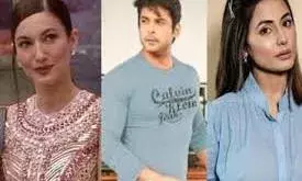 ओल्ड कन्टिस्टन्ट के भरोसे चल रहा बिग बॉस 14!