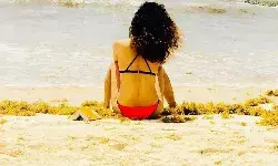 कंगना का आया पलटवार, बिकिनी फोटो को लेकर ट्रोल करने वालों को कंगना की खरी-खरी।