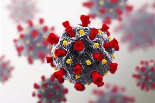 ब्रिटेन के बाद अब यूक्रेन में हड़कंप , बढ़ने लगा कोरोनावायरस का नया स्ट्रेन ब्रिटेन के बाद अब यूक्रेन में हड़कंप , बढ़ने लगा कोरोनावायरस का नया स्ट्रेन