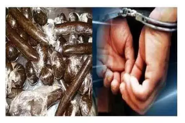 चरस तस्करी के आरोप में मंडी जिला में  एक व्यक्ति हुआ गिरफ्तार