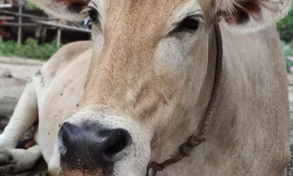 Bachpan Express Monthly Photography Competition: A photograph by Anjali