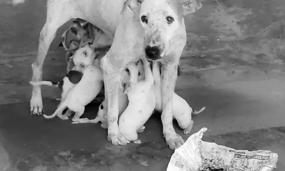 Bachpan Express Monthly Photography Competition: A photograph by Himanshu Mishra