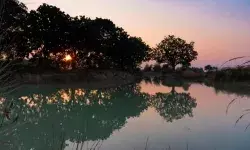 Bachpan Express Monthly Photography Competition: A photograph by Ritik Bharti