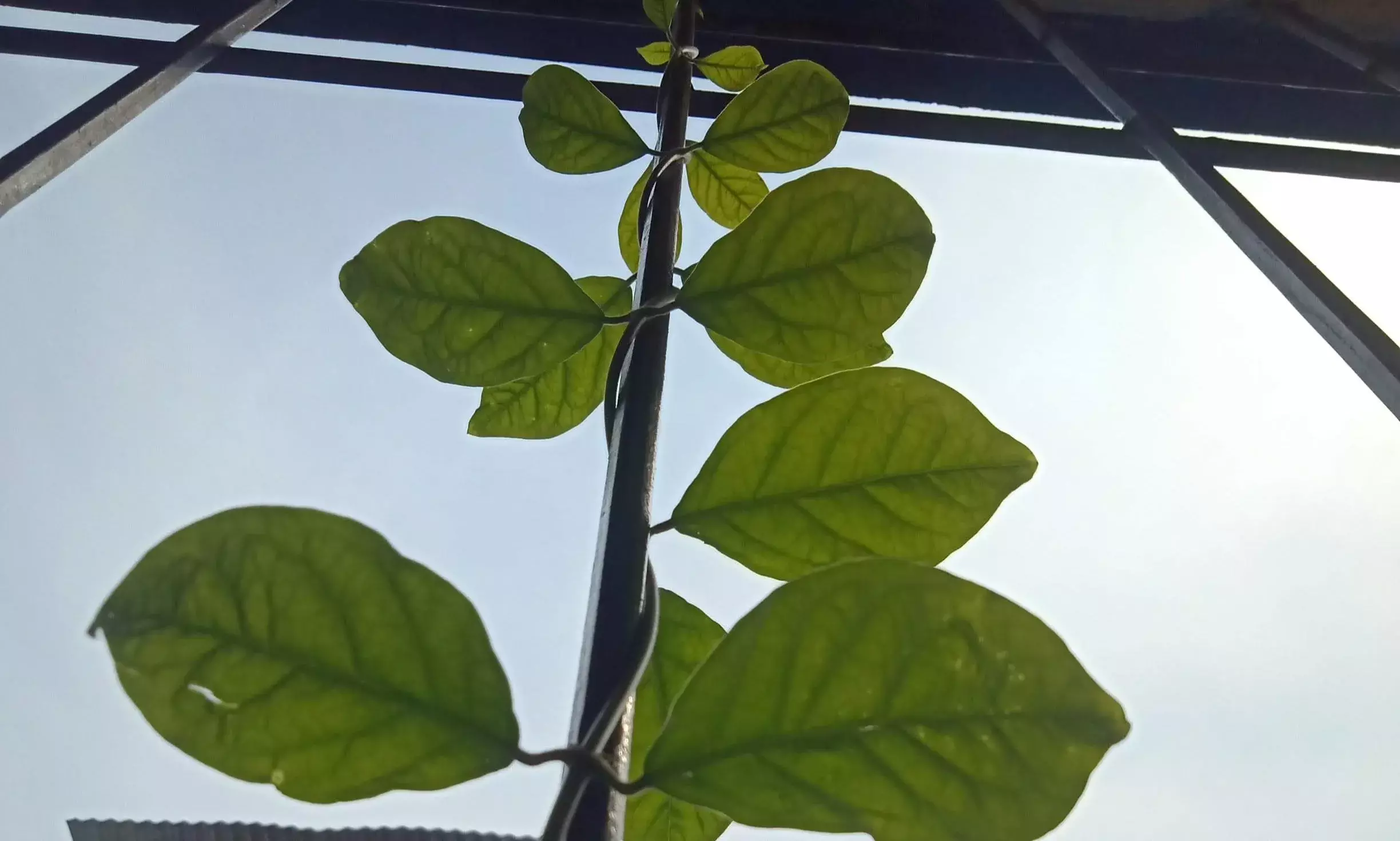 Bachpan Express Monthly Photography Competition: A photograph by Ankit Raj