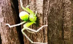 Bachpan Express Monthly Photography Competition: A photograph by Anjali