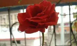 Bachpan Express Monthly Photography Competition: A photograph by Ankit Raj