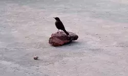 Bachpan Express Monthly Photography Competition: A photograph by     Vivek Anand