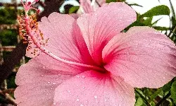 Bachpan Express Monthly Photography Competition: A photograph by Mohit Singh