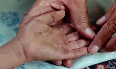 माजिद माजिदी की फ़िल्में मानव मन को टटोलती,अदम्य साहस और मानवता का पाठ पढ़ाती है