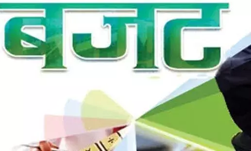 पंजाब सरकार ने पेश किया बजट, किया ये बड़ा ऐलान.