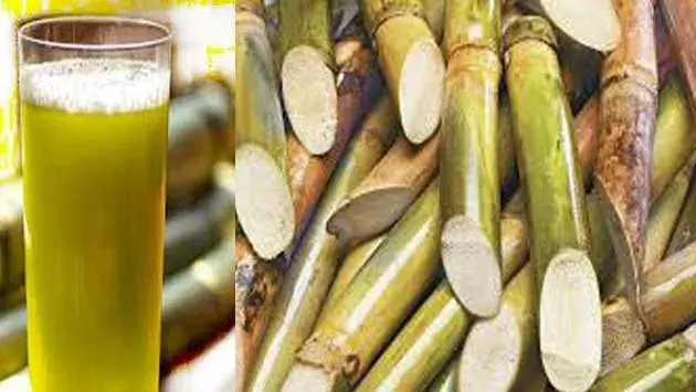 गन्ने का शरीर में पानी की कमी को दूर करने के साथ और भी कई फायदे.... गन्ने का शरीर में पानी की कमी को दूर करने के साथ और भी कई फायदे....