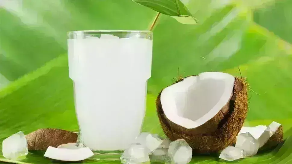 गर्मियों में अमृत से कम नहीं है नारियल पानी, एक दो नहीं अनेकों हैं फायदे....