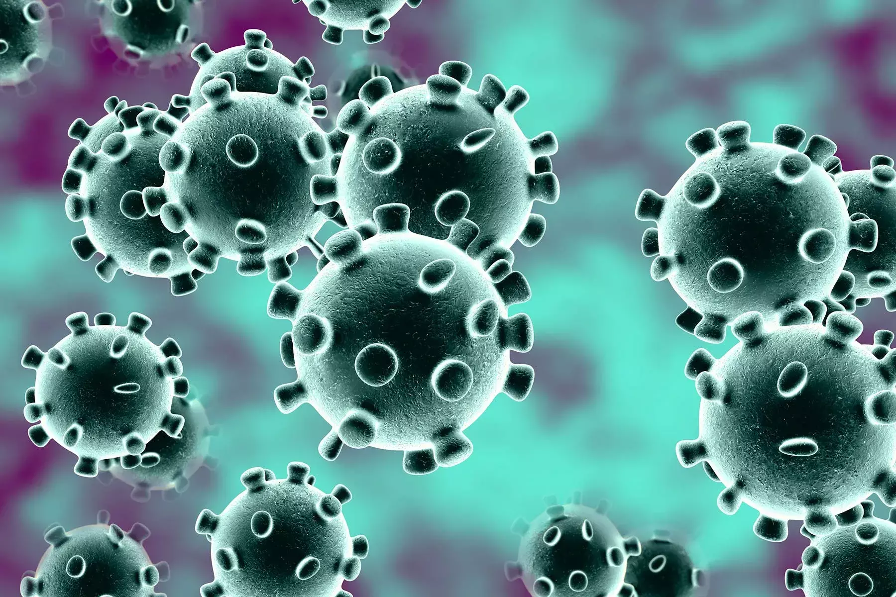 CORONA VIRUS UPDATE  : २४ घंटे  में मिले ५ हजार से ज्यादा मरीज CORONA VIRUS UPDATE  : २४ घंटे  में मिले ५ हजार से ज्यादा मरीज