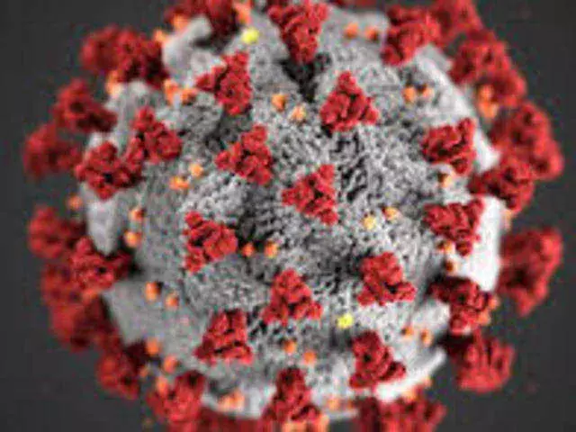 दिल्ली में एक दिन में कोरोना के 19,953 नये मामले, 338 मरीजों की मौत....