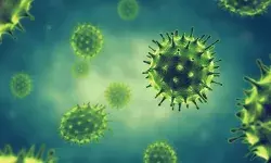 वैज्ञानिकों ने किया सावधान, कहा-भारत कोरोना की तीसरी लहर भी आएगी....