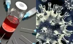 ब्लैक फंगस के बाद सामने आए व्हाइट फंगस के नए मामले, जाने क्या हैं इसके लक्षण....