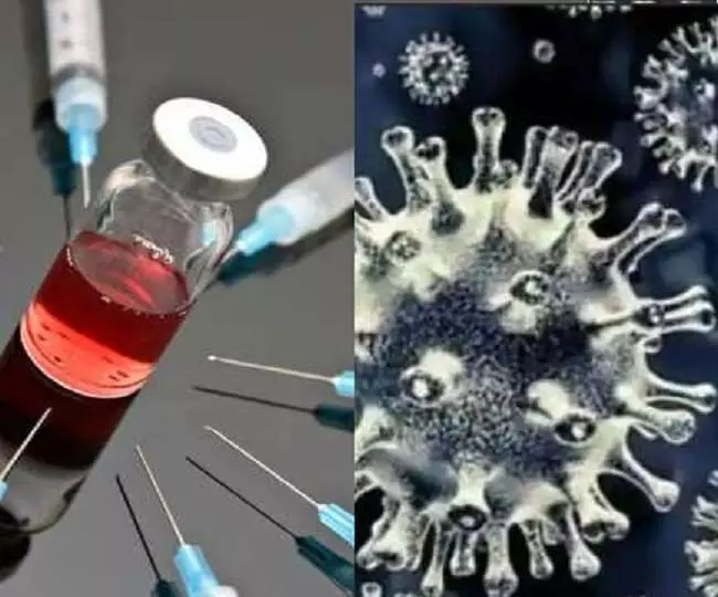 ब्लैक फंगस के बाद सामने आए व्हाइट फंगस के नए मामले, जाने क्या हैं इसके लक्षण.... ब्लैक फंगस के बाद सामने आए व्हाइट फंगस के नए मामले, जाने क्या हैं इसके लक्षण....