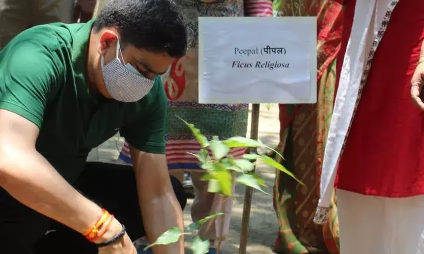 On the occasion of Buddha Purnima LU planted the trees related to his life in Buddha Vatika....