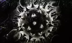 рджреЗрд╢ рдХреА рд░рд╛рдЬрдзрд╛рдиреА рджрд┐рд▓реНрд▓реА рдореЗрдВ рдХреЛрд░реЛрдирд╛ рд╕рдВрдХреНрд░рдорд┐рдд рдХрдо рд╣реЛрдиреЗ рдХреЗ рдмрд╛рдж рдЕрдм рдмреНрд▓реИрдХ рдлрдВрдЧрд╕ рдХреЗ рдХреЗрд╕ рдореЗрдВ рддреЗрдЬреА рд╕реЗ рдмрдврд╝реЛрддрд░реА.... рджреЗрд╢ рдХреА рд░рд╛рдЬрдзрд╛рдиреА рджрд┐рд▓реНрд▓реА рдореЗрдВ рдХреЛрд░реЛрдирд╛ рд╕рдВрдХреНрд░рдорд┐рдд рдХрдо рд╣реЛрдиреЗ рдХреЗ рдмрд╛рдж рдЕрдм рдмреНрд▓реИрдХ рдлрдВрдЧрд╕ рдХреЗ рдХреЗрд╕ рдореЗрдВ рддреЗрдЬреА рд╕реЗ рдмрдврд╝реЛрддрд░реА....