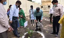 एलयू: विश्व पर्यावरण दिवस पर ऑनलाइन प्रतियोगिता का हुआ आयोजन.....