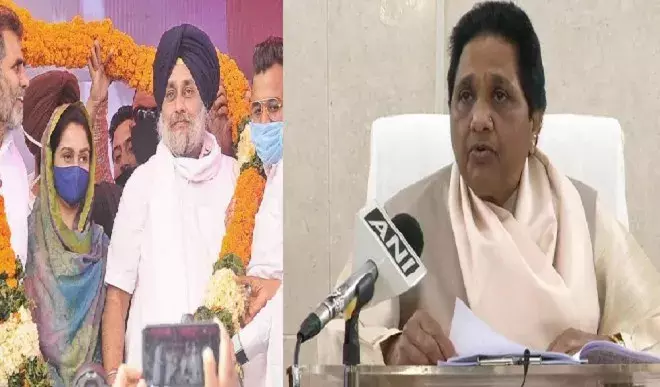 अकाली दल और बसपा के बीच गठबंधन, सीटों का फॉर्मूला हुआ फाइनल अकाली दल और बसपा के बीच गठबंधन, सीटों का फॉर्मूला हुआ फाइनल