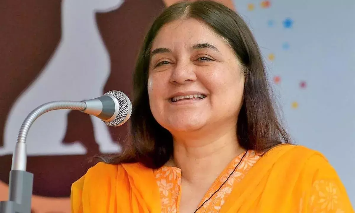 सोशल मीडिया पर हो रहा सुल्तानपुर सांसद मेनका गांधी का विरोध। जानिए पूरी वजह सोशल मीडिया पर हो रहा सुल्तानपुर सांसद मेनका गांधी का विरोध। जानिए पूरी वजह