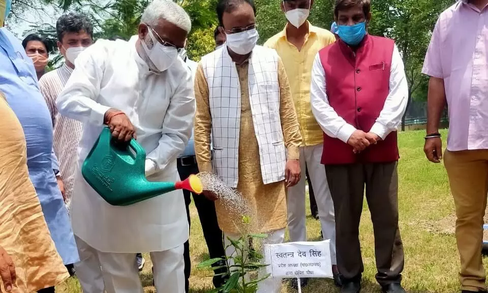 बीजेपी ने डा. श्यामा प्रसाद मुखर्जी के बलिदान दिवस 23 जून से वृक्षारोपण अभियान प्रारम्भ किया बीजेपी ने डा. श्यामा प्रसाद मुखर्जी के बलिदान दिवस 23 जून से वृक्षारोपण अभियान प्रारम्भ किया