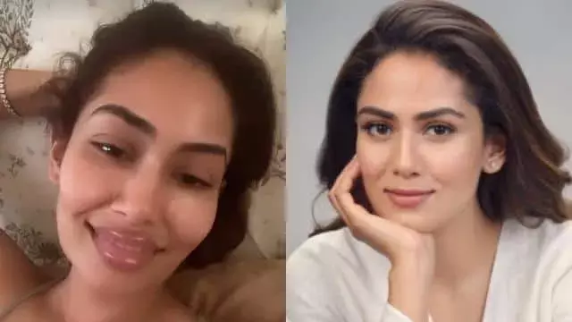 मीरा राजपूत ने अपने नए लुक से सभी को किया हैरान, वीडियो हुआ वायरल मीरा राजपूत ने अपने नए लुक से सभी को किया हैरान, वीडियो हुआ वायरल