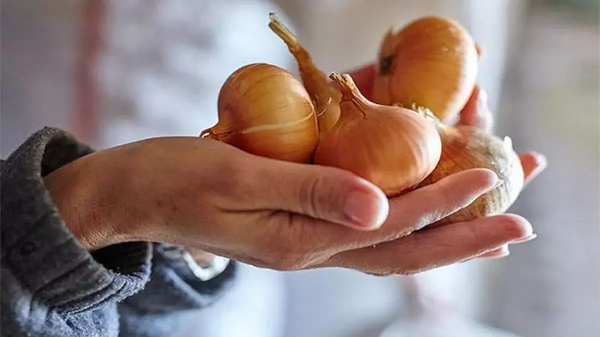 प्याज का रस बालों के लिए है फायदे मंद, जाने इसके फायदे