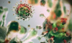 कोरोना के मामलों में हुआ भारी इजाफा, 24 घंटों में मिले 46,164 नए मामले कोरोना के मामलों में हुआ भारी इजाफा, 24 घंटों में मिले 46,164 नए मामले