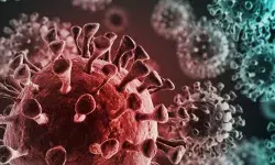 भारत में पिछले 24 घंटे में 10,229 नए COVID-19 केस भारत में पिछले 24 घंटे में 10,229 नए COVID-19 केस