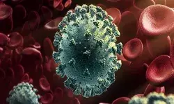 बीते 24 घंटों में मिले कोरोना के 47 हजार से अधिक नए मामले