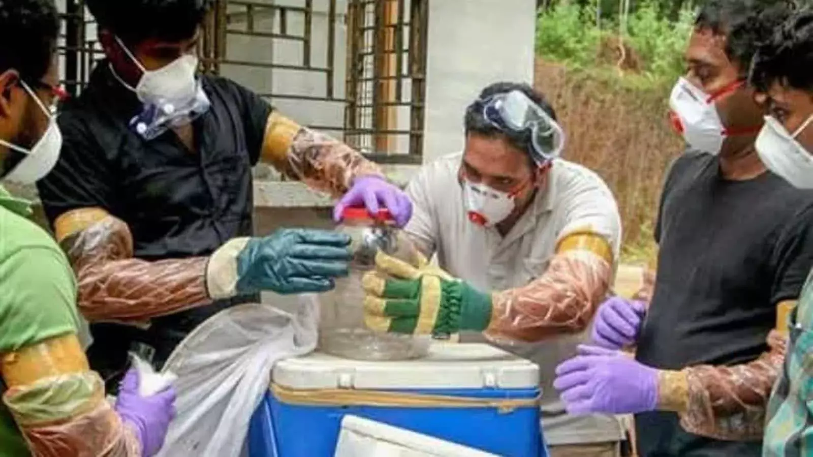 केरल के बाद तमिलनाडु में मिला निपाह वायरस का मरीज केरल के बाद तमिलनाडु में मिला निपाह वायरस का मरीज