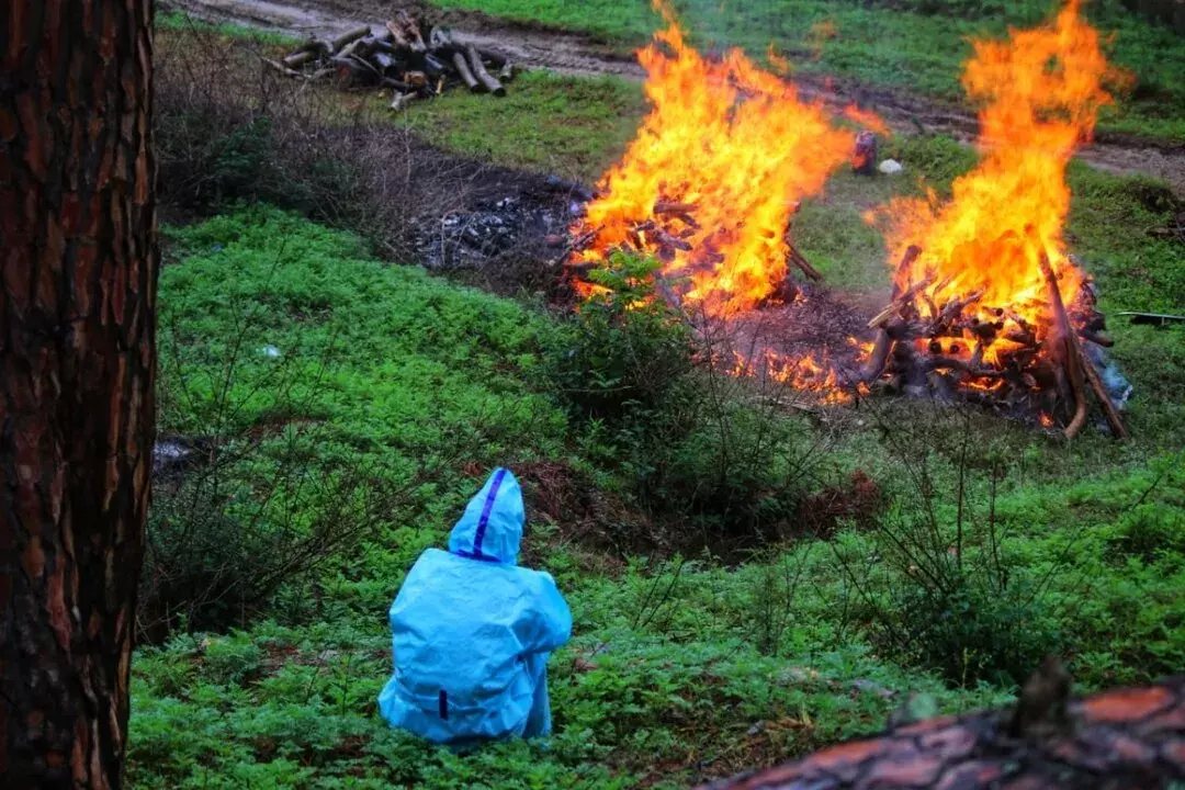 उत्तराखंड : जंगल में नाबालिक का शव मिलने से मची खलबली उत्तराखंड : जंगल में नाबालिक का शव मिलने से मची खलबली