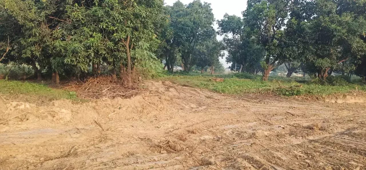 नटकुर में दबंग भू माफियाओं ने ग्राम समाज की जमीन पर कब्जा कर पाट डाला सरकारी नाला नटकुर में दबंग भू माफियाओं ने ग्राम समाज की जमीन पर कब्जा कर पाट डाला सरकारी नाला