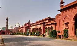 Assistant Professor Job at AMU Assistant Professor Job at AMU