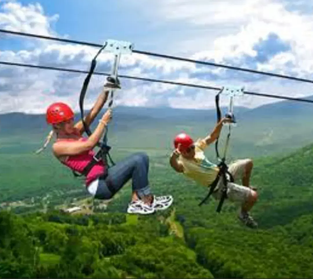 रोमांचक जिप लाइन का लुत्फ उठाते हैं पर्यटक रोमांचक जिप लाइन का लुत्फ उठाते हैं पर्यटक