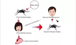 कानपुर में जीका वायरस का प्रकोप जारी