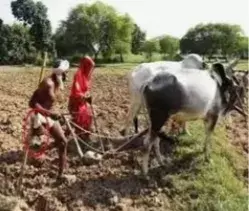 सहकारी समितियों में खाद न आने से किसान हो रहे मायूस, प्राइवेट दुकानों की कट रही चांदी सहकारी समितियों में खाद न आने से किसान हो रहे मायूस, प्राइवेट दुकानों की कट रही चांदी