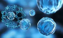 рдиреИрдиреЛ рдореИрдЯреЗрд░рд┐рдпрд▓реНрд╕, рдиреИрдиреЛрдЯреЗрдХреНрдиреЛрд▓рд╛рдЬреА рдФрд░ рдКрд░реНрдЬрд╛ рдореЗрдВ рдХрд┐рдпрд╛ рдХрд╛рдо, рдХрдИ рд╢реЛрдз рдкрддреНрд░ рдЕрдВрддрд░рд░рд╛рд╖реНрдЯреНрд░реАрдп рдЬрд░реНрдирд▓реНрд╕ рдореЗрдВ рдкреНрд░рдХрд╛рд╢рд┐рдд рдиреИрдиреЛ рдореИрдЯреЗрд░рд┐рдпрд▓реНрд╕, рдиреИрдиреЛрдЯреЗрдХреНрдиреЛрд▓рд╛рдЬреА рдФрд░ рдКрд░реНрдЬрд╛ рдореЗрдВ рдХрд┐рдпрд╛ рдХрд╛рдо, рдХрдИ рд╢реЛрдз рдкрддреНрд░ рдЕрдВрддрд░рд░рд╛рд╖реНрдЯреНрд░реАрдп рдЬрд░реНрдирд▓реНрд╕ рдореЗрдВ рдкреНрд░рдХрд╛рд╢рд┐рдд