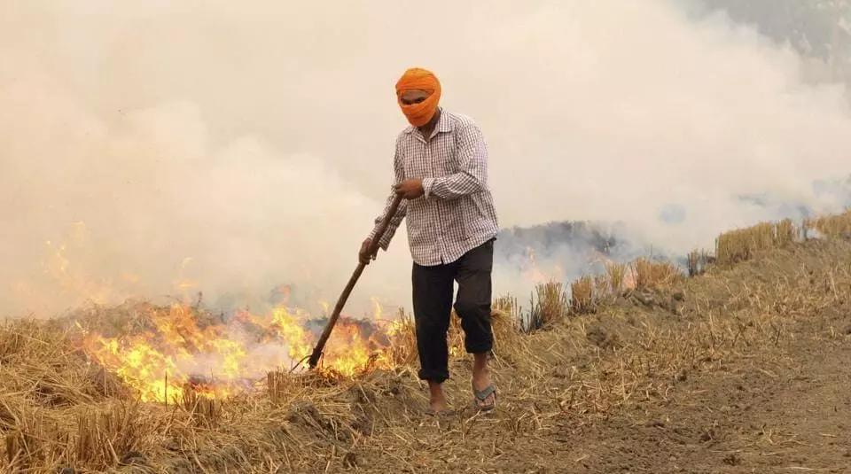 पराली जलाने पर दर्जनों किसानों की प्रधानमंत्री किसान सम्मान निधि राशि रोकने की संस्तुति