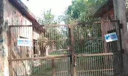 कभी विदेशों में हुआ करता था नाम अब अस्तित्व बचाने की कशमकश में  पॉटरी  उद्योग कभी विदेशों में हुआ करता था नाम अब अस्तित्व बचाने की कशमकश में  पॉटरी  उद्योग