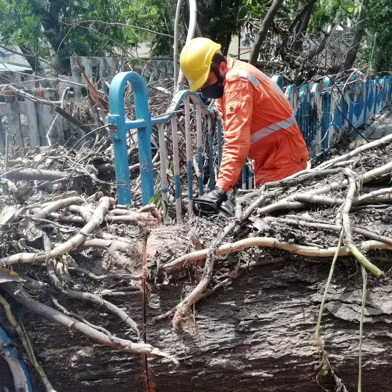 आज आंध्र तट से टकराएगा तूफान जवाद, 54000 लोगों का रेस्क्यू 19 जनपदों में स्कूल कॉलेज बंद आज आंध्र तट से टकराएगा तूफान जवाद, 54000 लोगों का रेस्क्यू 19 जनपदों में स्कूल कॉलेज बंद