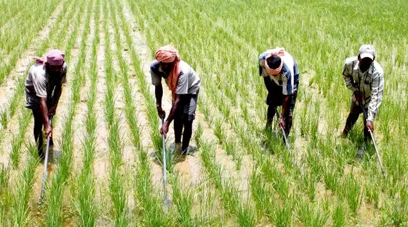 प्राकृतिक खेती के साथ ही पशुपालन को भी बढ़ाएं प्राकृतिक खेती के साथ ही पशुपालन को भी बढ़ाएं