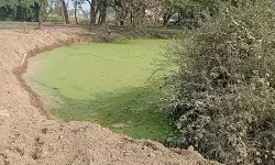 जलमग्न, खलिहान व रास्ते की भूमि पर हो रहा अवैध प्लाटिंग का कारोबार