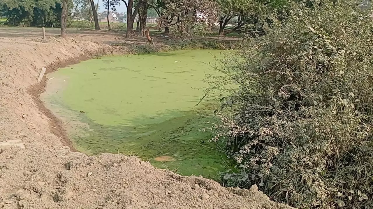 जलमग्न, खलिहान व रास्ते की भूमि पर हो रहा अवैध प्लाटिंग का कारोबार जलमग्न, खलिहान व रास्ते की भूमि पर हो रहा अवैध प्लाटिंग का कारोबार